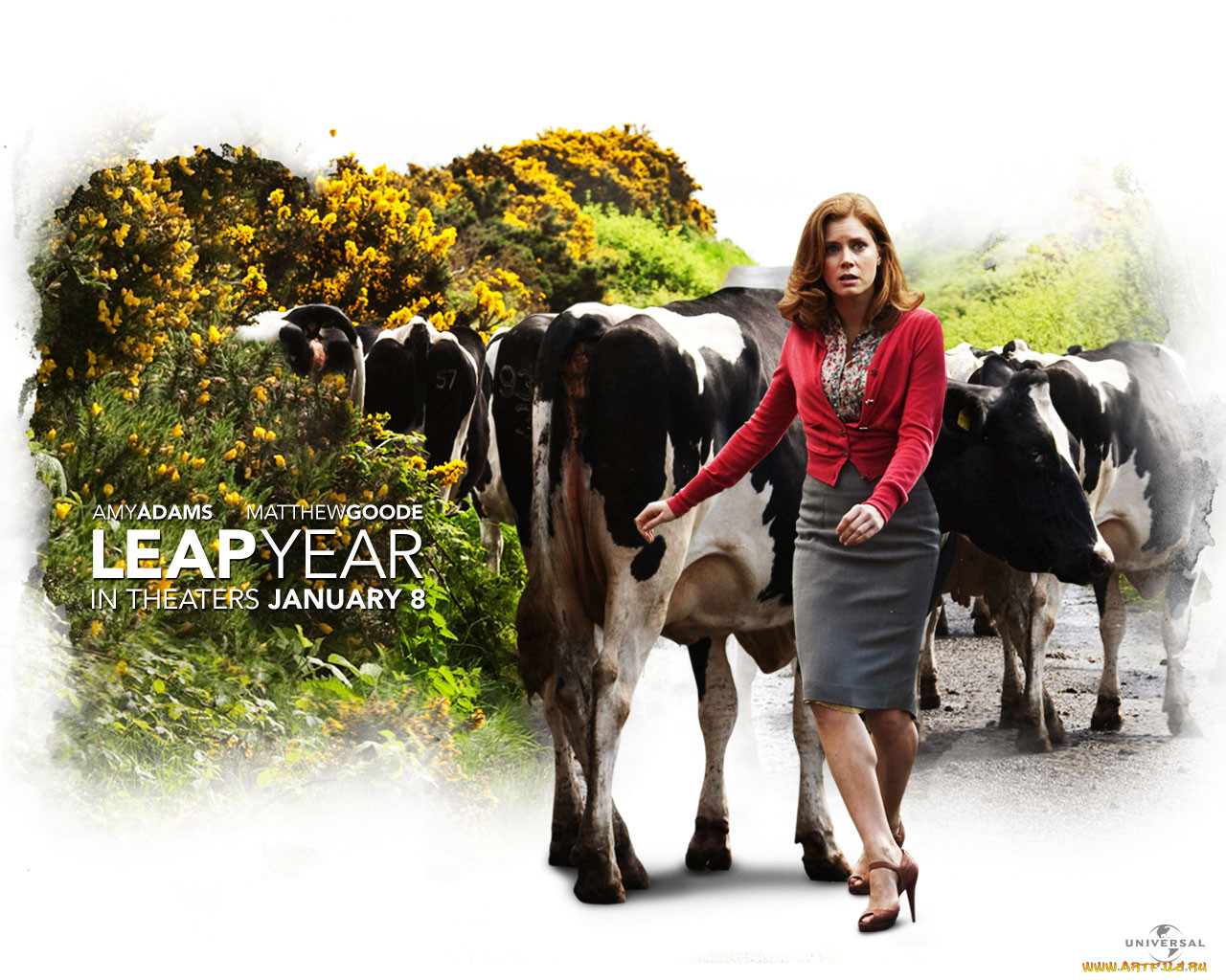 , , leap, year